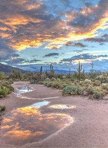 A rocky riverbed with shallow, reddish water, a small pool, and distant hills under a cloudy blue sky, creating a desert-like landscape.