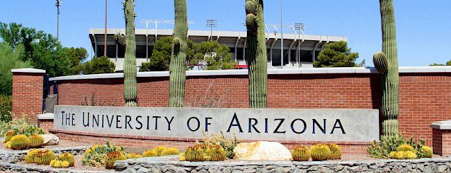 A wide view of a desert-style entrance sign reading &ldquo;Tucson Arizona,&rdquo; with brick columns, green shrubs, and a low building behind, ending the sentence.